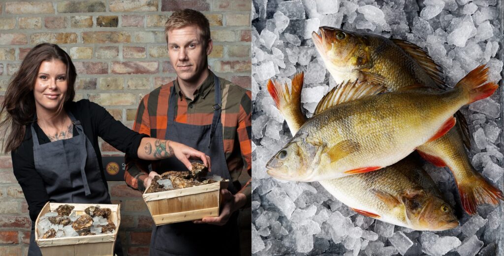 Customer Testimonials About Söderholmens Fisk