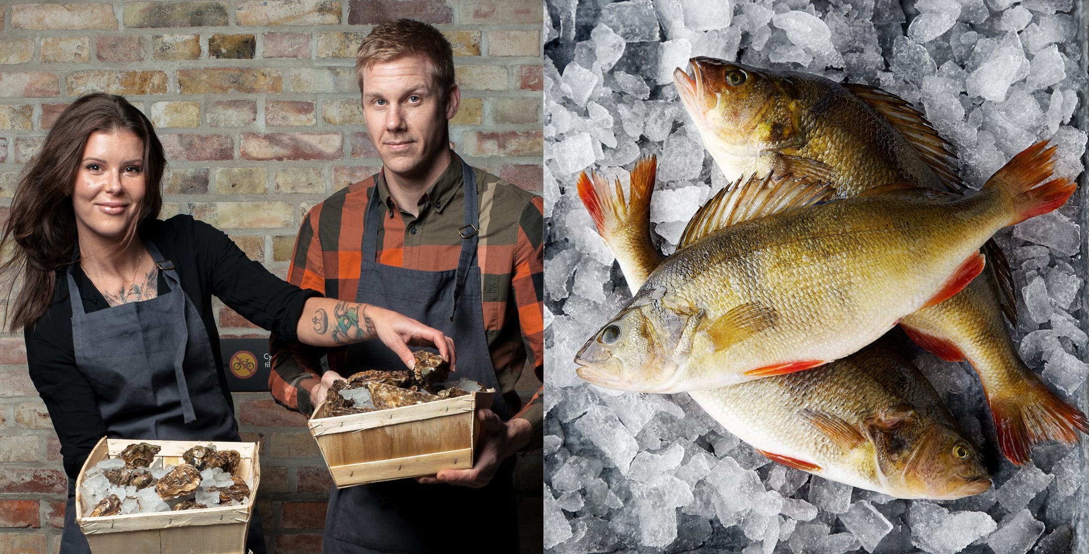 Söderholmens Fisk